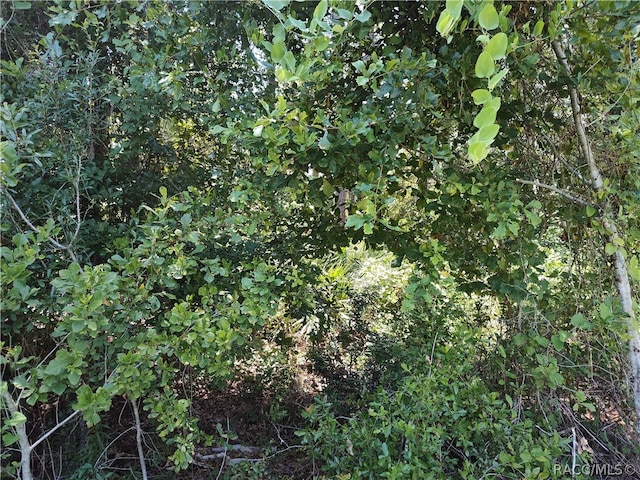 0000 NE 65th Ct, Citra FL, 32113 land for sale