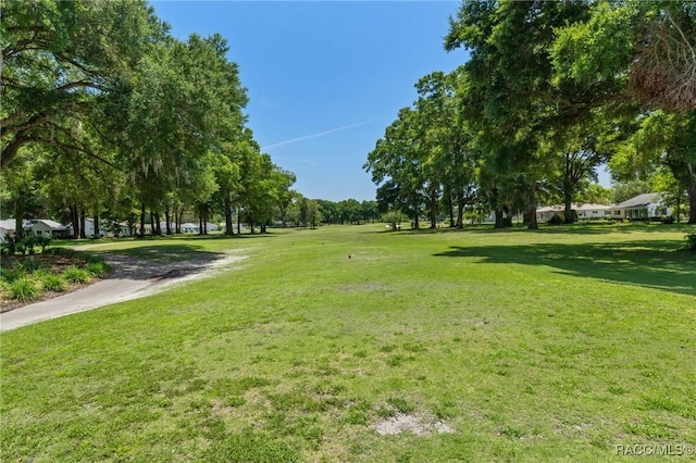 13618 SW 111th Cir, Dunnellon, FL 34432 - view of property's community featuring a lawn