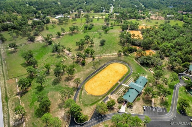 bird's eye view