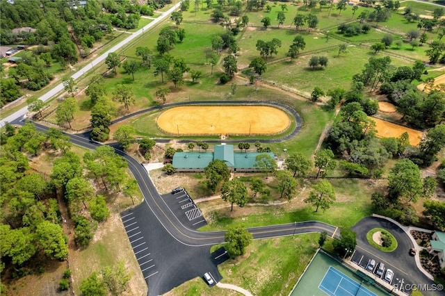bird's eye view