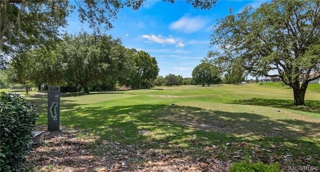 view of community with a yard