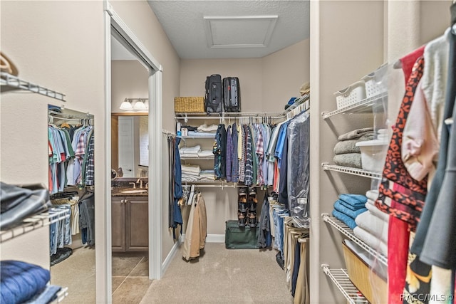 spacious closet featuring sink and light colored carpet