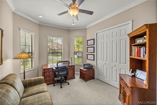 carpeted home office with ceiling fan, a textured ceiling, and ornamental molding