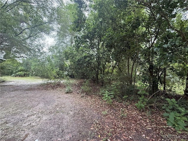 4771 Crk 688, Webster, FL 33597 - photo 24