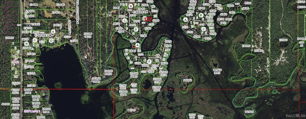 6080 N Mallard Dr, Hernando, FL 34442