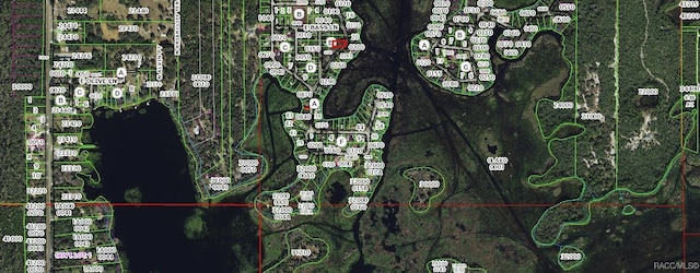 6080 N Mallard Dr, Hernando, FL 34442