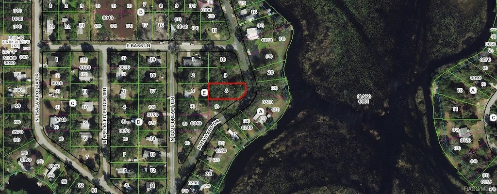 6080 N Mallard Dr, Hernando, FL 34442
