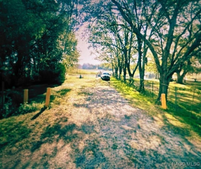 6080 N Mallard Dr, Hernando, FL 34442 - photo 2