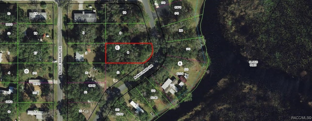 6080 N Mallard Dr, Hernando, FL 34442