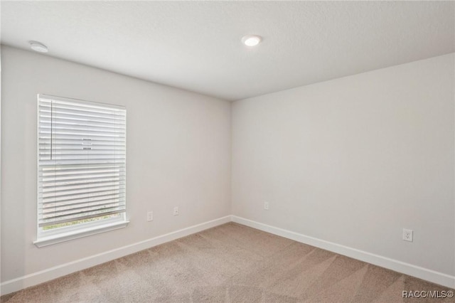 12518 Pine Bluff St, Spring Hill, FL 34609 - photo 40