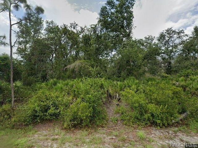 145 Bodine St, Punta Gorda FL, 33982 land for sale