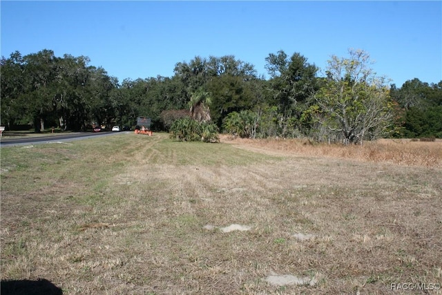 Listing photo 3 for 0 S US Highway 301, Summerfield FL 34491