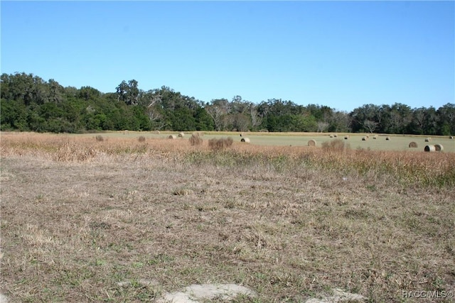 Listing photo 2 for 0 S US Highway 301, Summerfield FL 34491