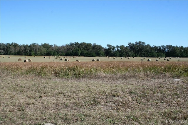 0 S US Highway 301, Summerfield FL, 34491 land for sale