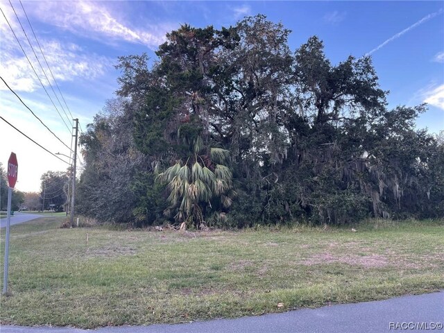11631 W Timberlane Dr, Homosassa, FL 34448 - photo 5