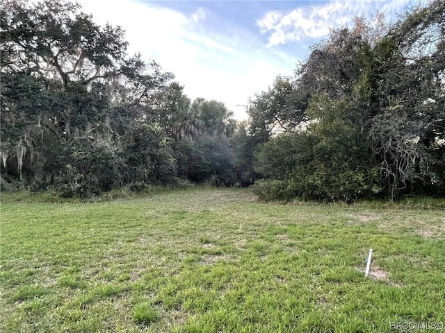 11631 W Timberlane Dr, Homosassa, FL 34448 - photo 8