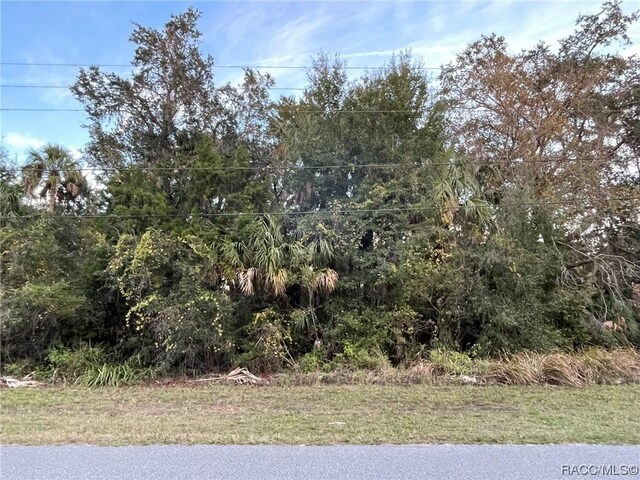 11631 W Timberlane Dr, Homosassa, FL 34448 - photo 1