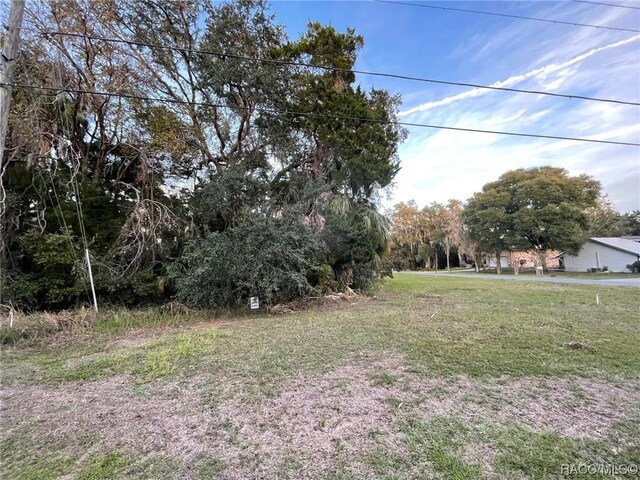 11631 W Timberlane Dr, Homosassa, FL 34448 - photo 6