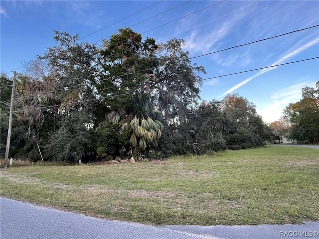 11631 W Timberlane Dr, Homosassa, FL 34448 - photo 4