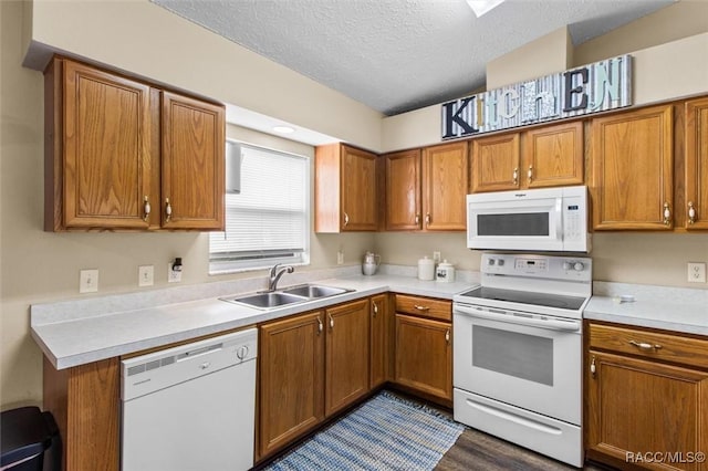 3803 S Flamingo Ter, Homosassa, FL 34448 - photo 13