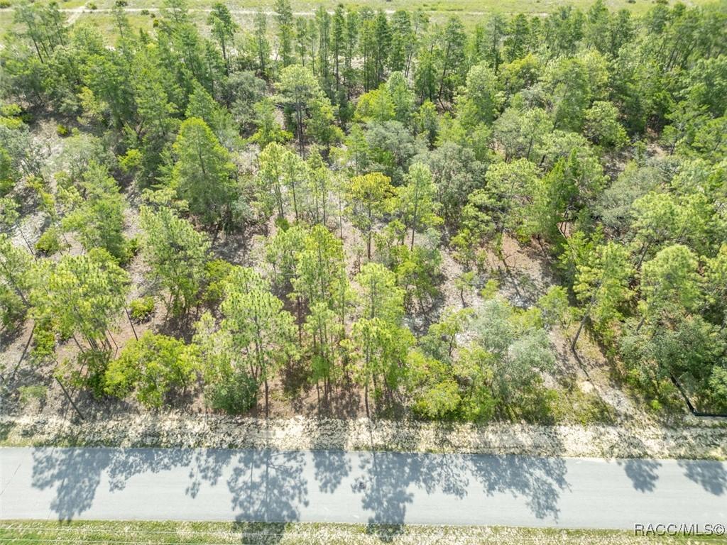 7 Fringetree Ct, Homosassa, FL 34446 - photo 1