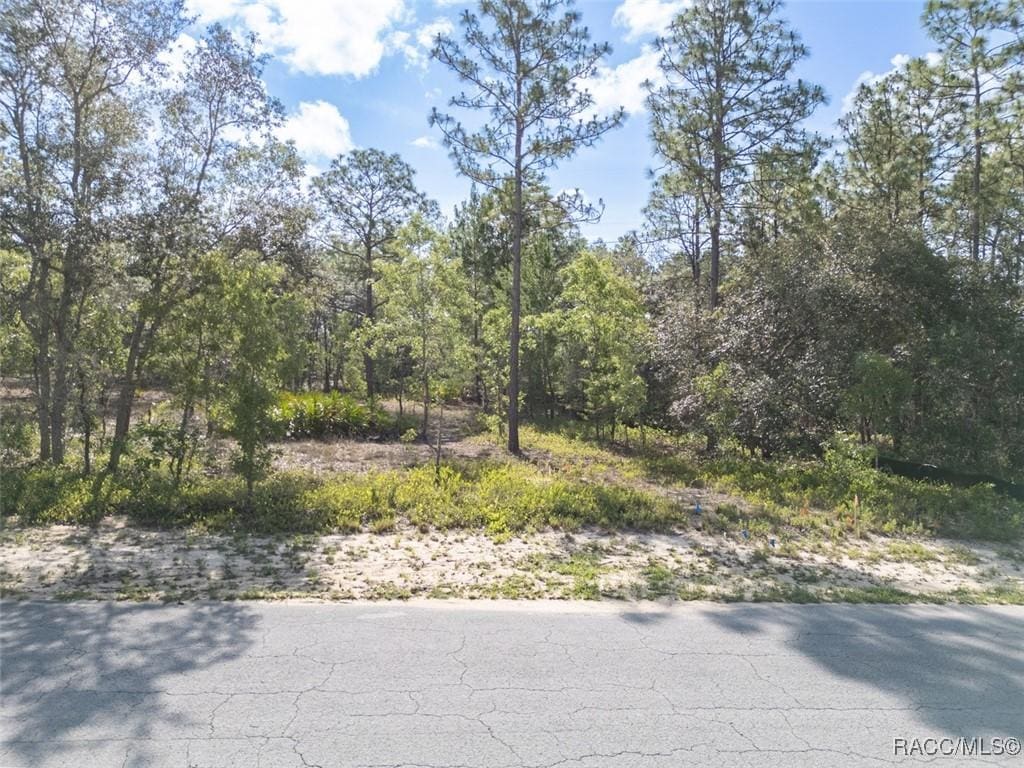 7 Fringetree Ct, Homosassa, FL 34446 - photo 2