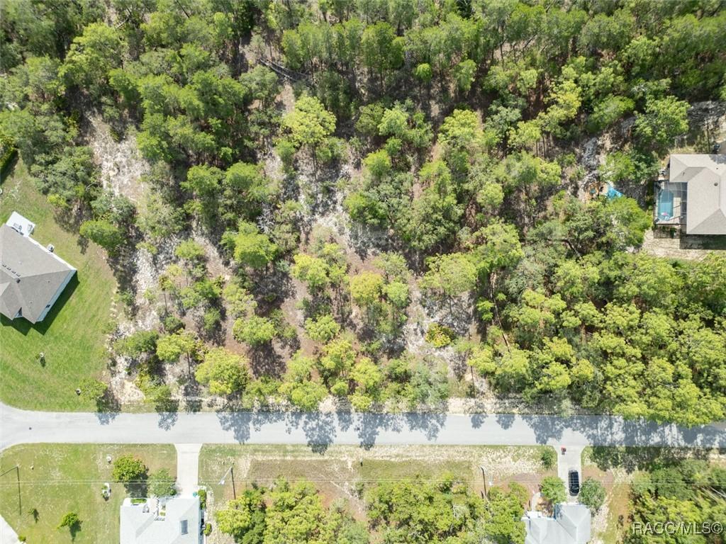 7 Fringetree Ct, Homosassa, FL 34446 - photo 3