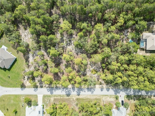 7 Fringetree Ct, Homosassa, FL 34446 - photo 3