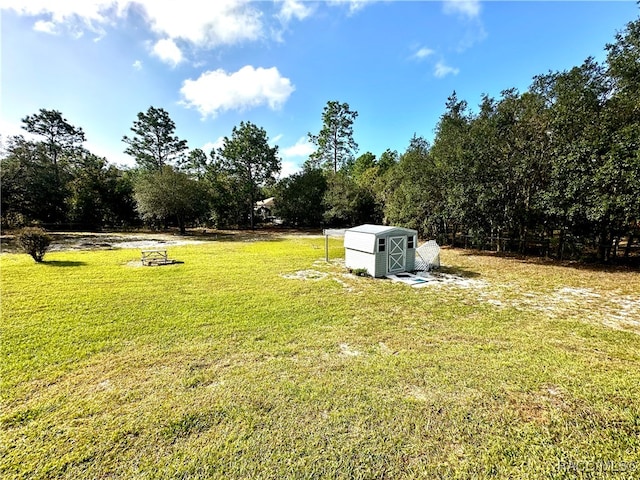 view of yard featuring a storage shed