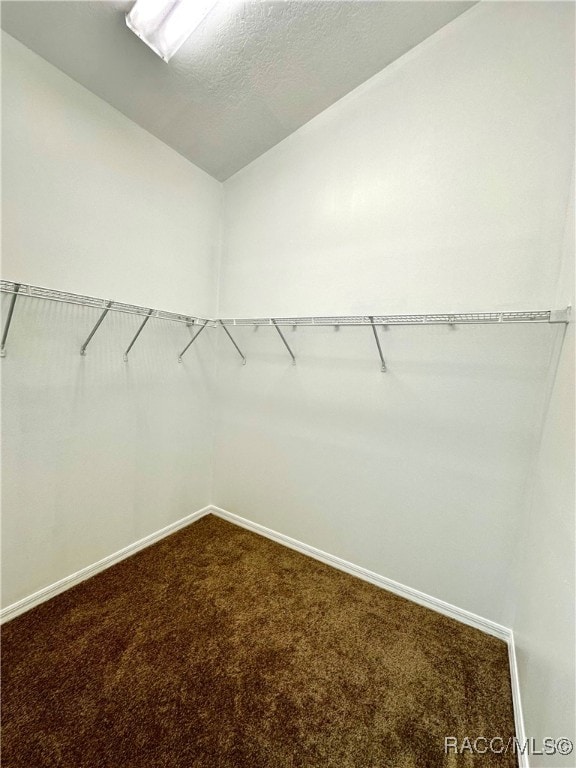 walk in closet with carpet