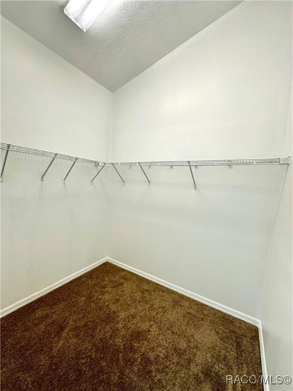 3150 W Mustang Blvd, Beverly Hills, FL 34465 - spacious closet featuring dark colored carpet and lofted ceiling