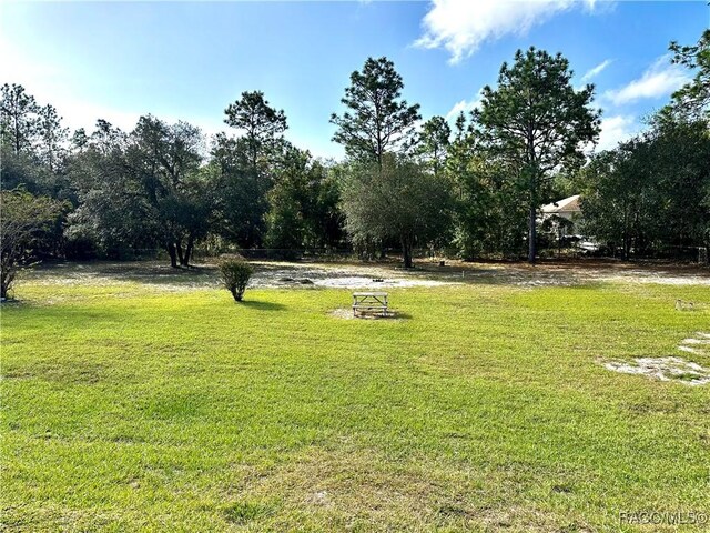 3150 W Mustang Blvd, Beverly Hills, FL 34465 - view of green lawn