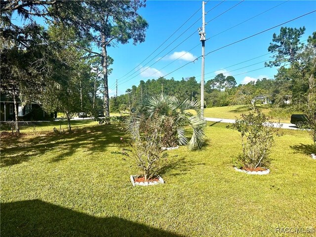 3150 W Mustang Blvd, Beverly Hills, FL 34465 - view of yard