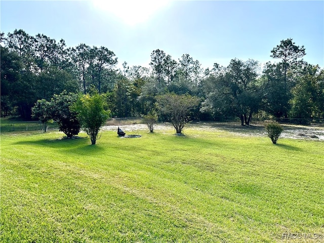 view of yard featuring a rural view