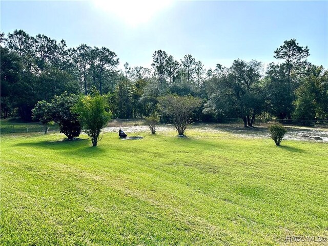 3150 W Mustang Blvd, Beverly Hills, FL 34465 - view of green lawn
