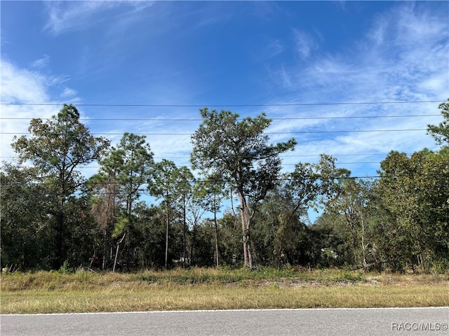 Listing photo 2 for 1604 S Rock Crusher Rd, Homosassa FL 34448