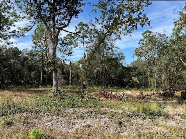 1604 S Rock Crusher Rd, Homosassa FL, 34448 land for sale