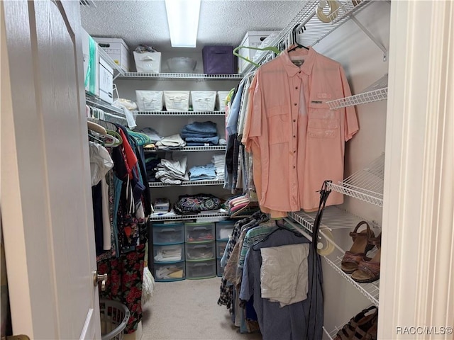 walk in closet featuring carpet floors