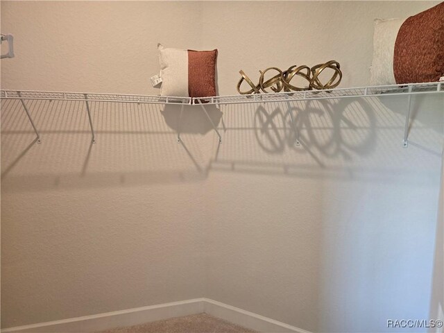 1280 Heron Point Dr, Inverness, FL 34453 - spacious closet with carpet flooring
