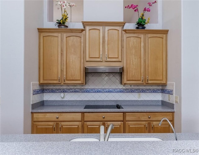 kitchen featuring tasteful backsplash, black electric cooktop, a sink, and exhaust hood