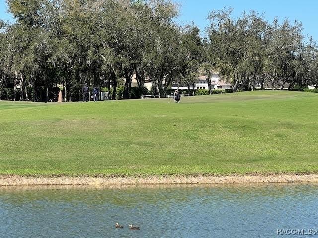 view of home's community with a water view and a lawn