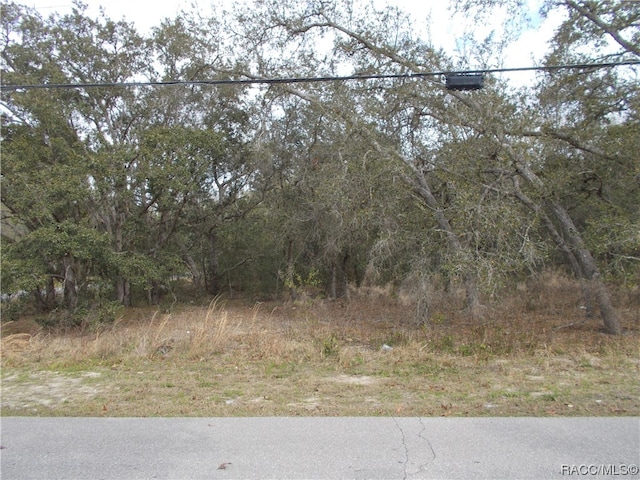 Listing photo 2 for 979 W Pearson St, Hernando FL 34442