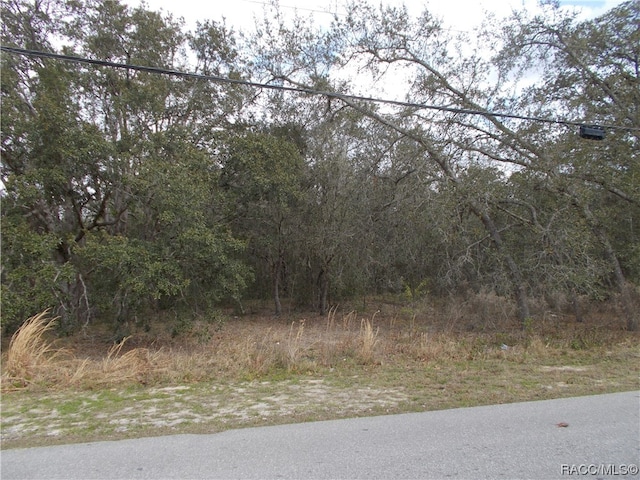 979 W Pearson St, Hernando FL, 34442 land for sale