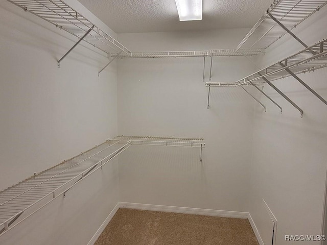 walk in closet with carpet