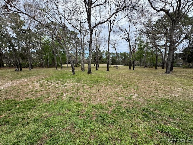 view of yard