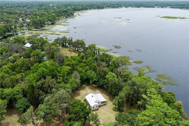 3184 N Edward Island Pt, Hernando, FL 34442 - aerial view of property's location featuring a large body of water and a heavily wooded area