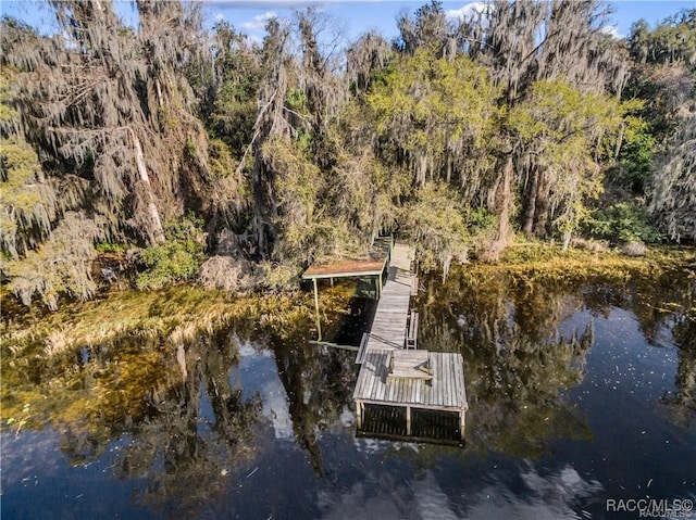 3184 N Edward Island Pt, Hernando, FL 34442 - dock featuring a view of trees and a water view