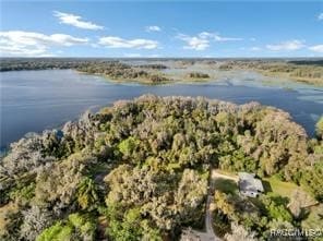 3184 N Edward Island Pt, Hernando, FL 34442 - bird's eye view of a large body of water and a forest