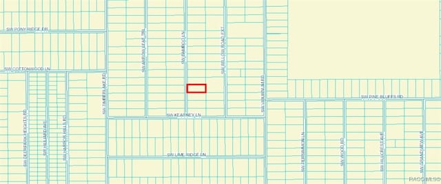 0 SW Bamboo St Fl, undefined, FL 34431 - photo 1
