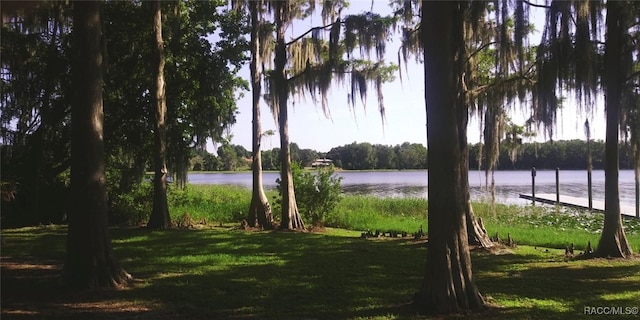 water view featuring a dock